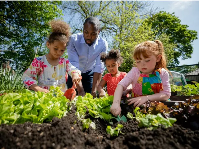 The School Garden Movement - Connecting food, science and the environment
